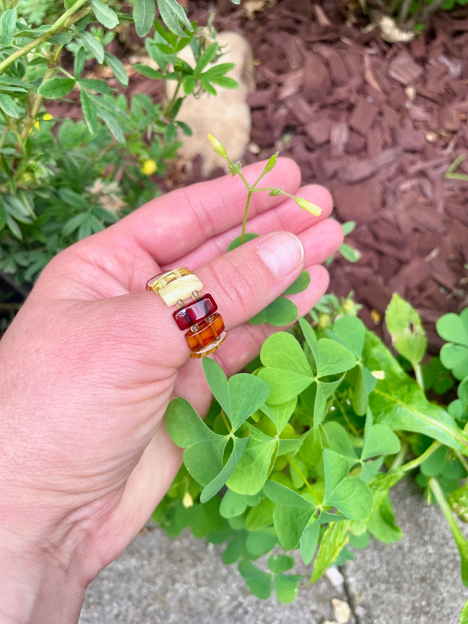 Miniaturbild: Hand mit Bernstein-Ring, Neurodermitis, Allergien, Hautprobleme, alternative Methoden