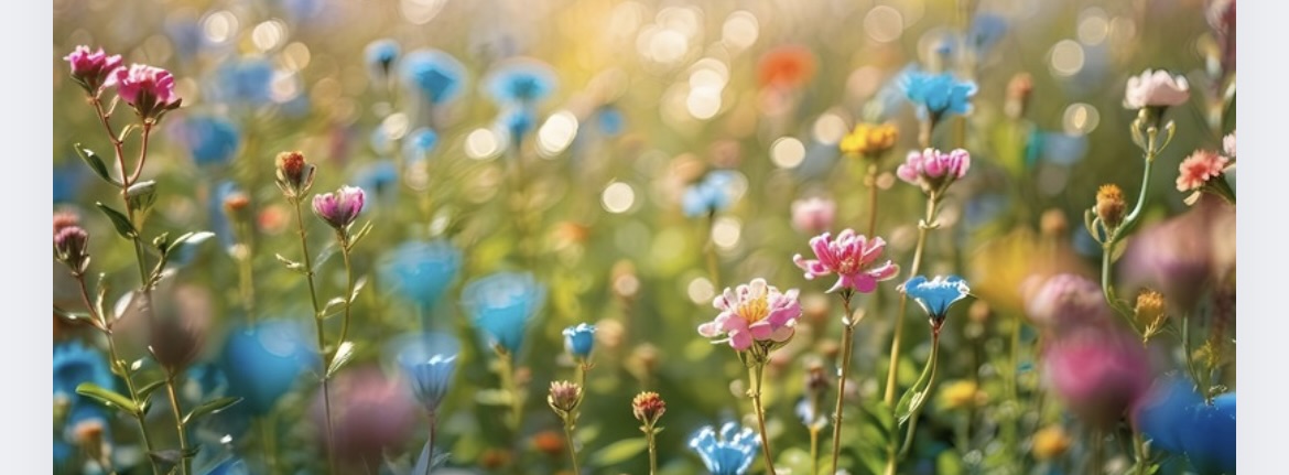 Autorenbild: Barbara Hermann