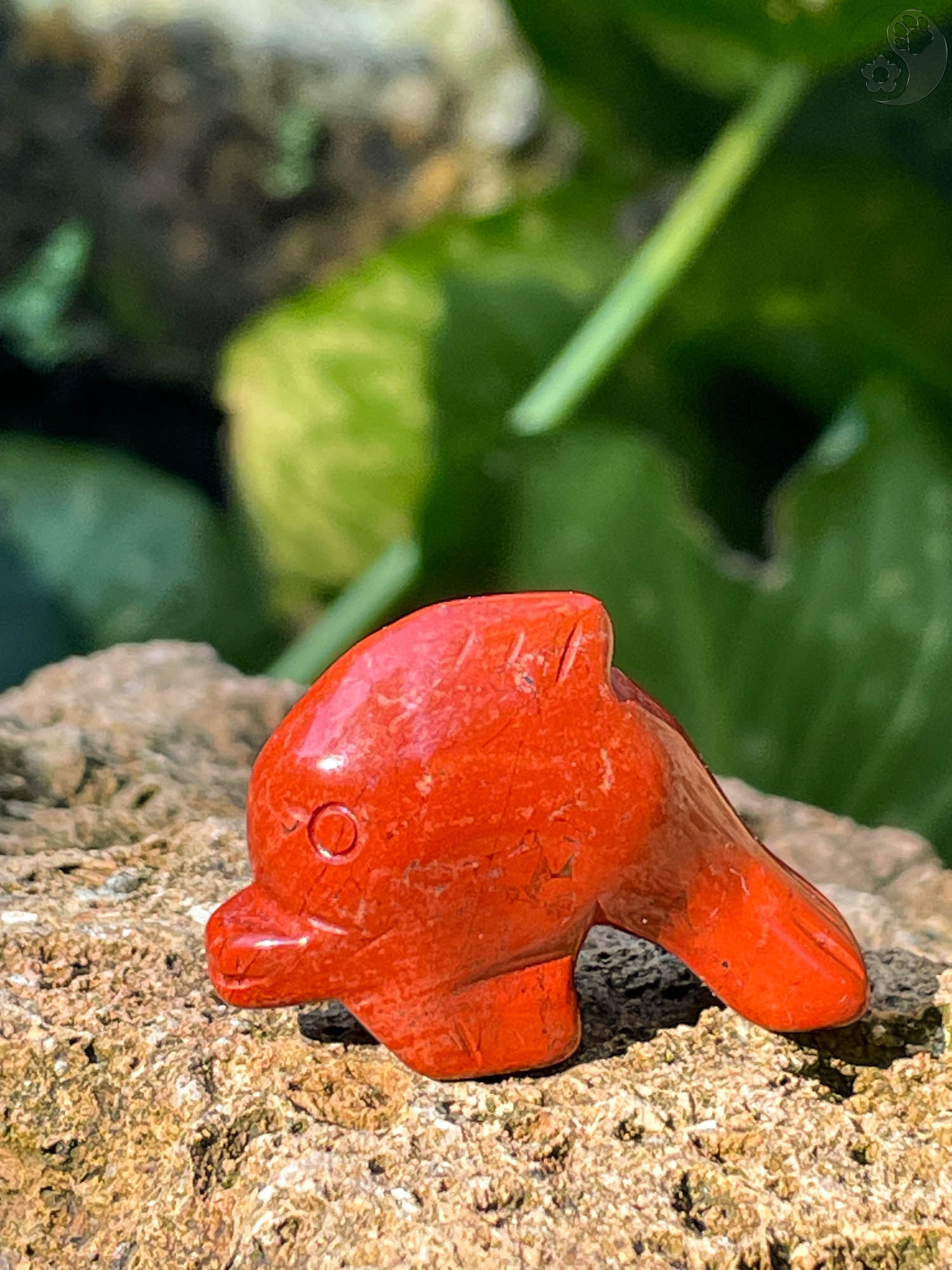 Delphin - roter Jasper