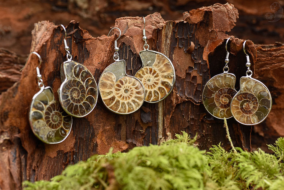 Miniaturbild: Ohrringe, Haken mit Ammonit Schnecke, silbern eingefasst, alternative Methoden, Steinschmuck