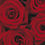 Thumbnail: Fotobehang Roses