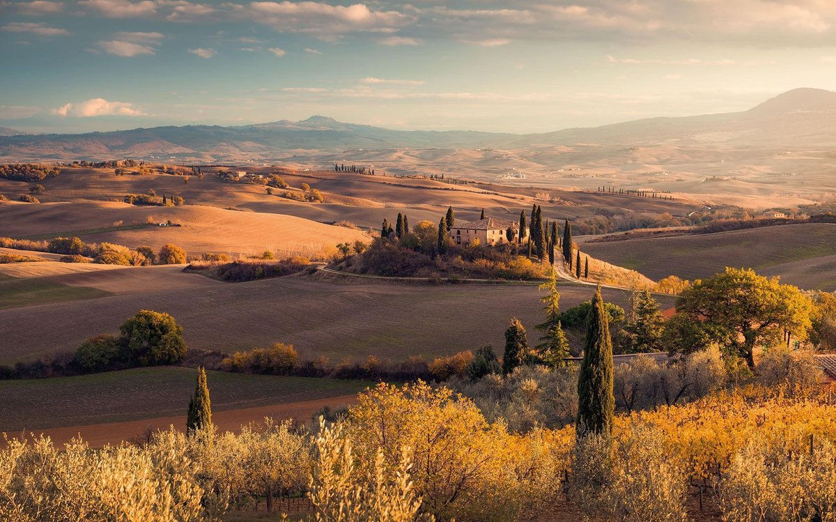 Komar Toskanagold Vlies Fotobehang 400x250cm 4-banen