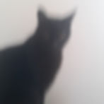 ree