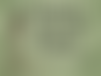 🌿 Root Cause Rebel