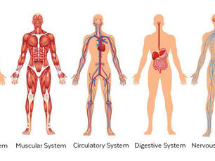 NO, I am NOT a doctor.