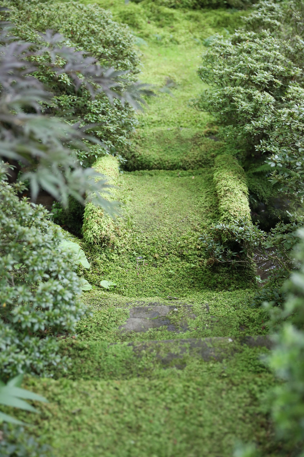 b.庭園・参道等8F11A2474栃木県日光市輪王寺逍遥園.JPG