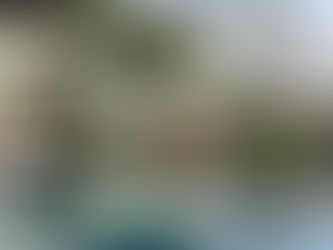 Webinar: Discover REVIVO Wellness Resort