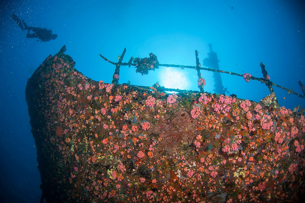 Diving experience at Centara Maldives