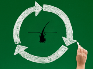 ไขความลับของวงจรเส้นผม: ทำไมผมของคุณถึงเปลี่ยนแปลงอยู่ตลอดเวลา