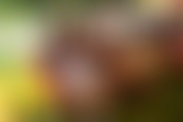 Senioren B: BAYERISCHE MEISTERSCHAFT IM KLEINFELD – LANDESFINALE