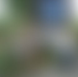 Geräuschvoller Einzug ins Frühlingsfest