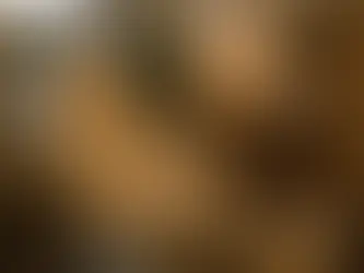 Best Lash & Brow Lift Bundles in Everett: Options & Prices