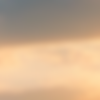 window bg image.png