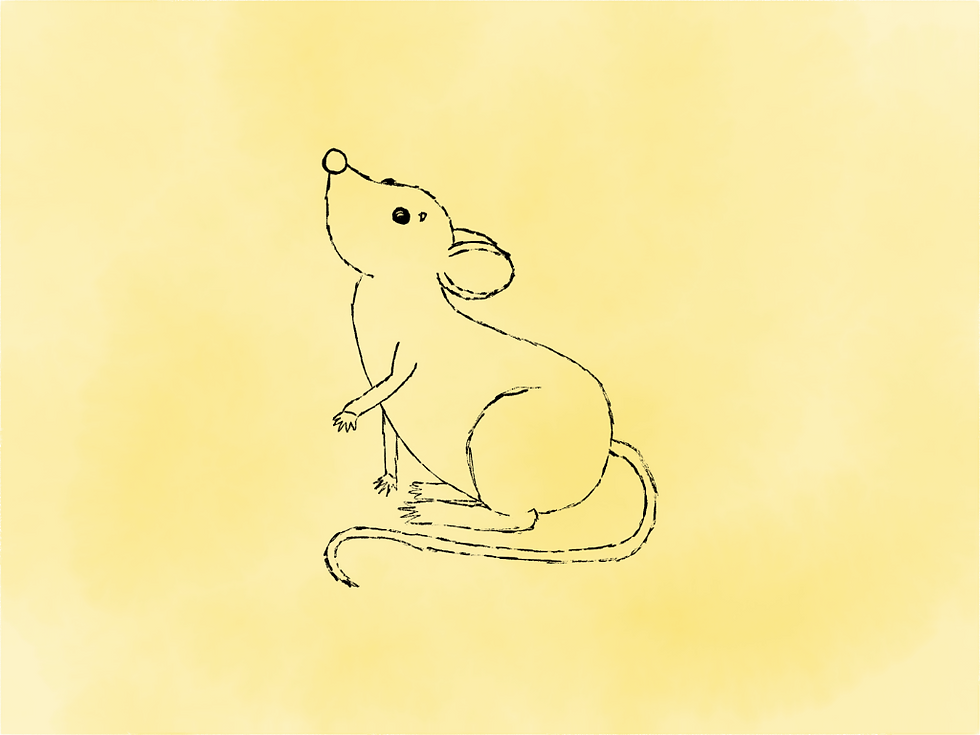 Black line drawing of a sitting mouse with a long tail and one small raised paw on a pale yellow background.
