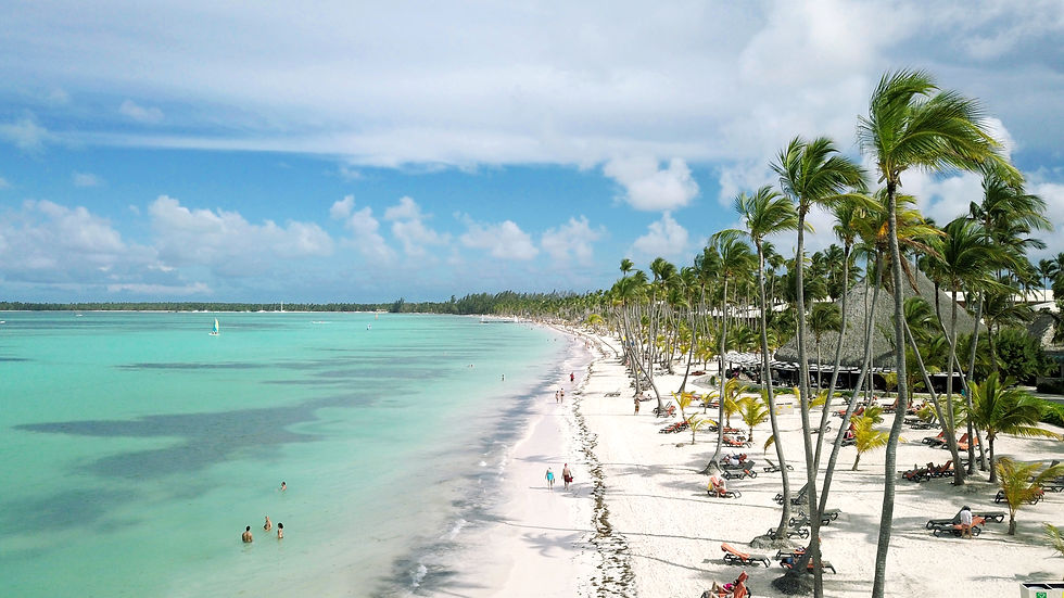 Thumbnail: The Dominican