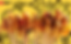Picture main.png