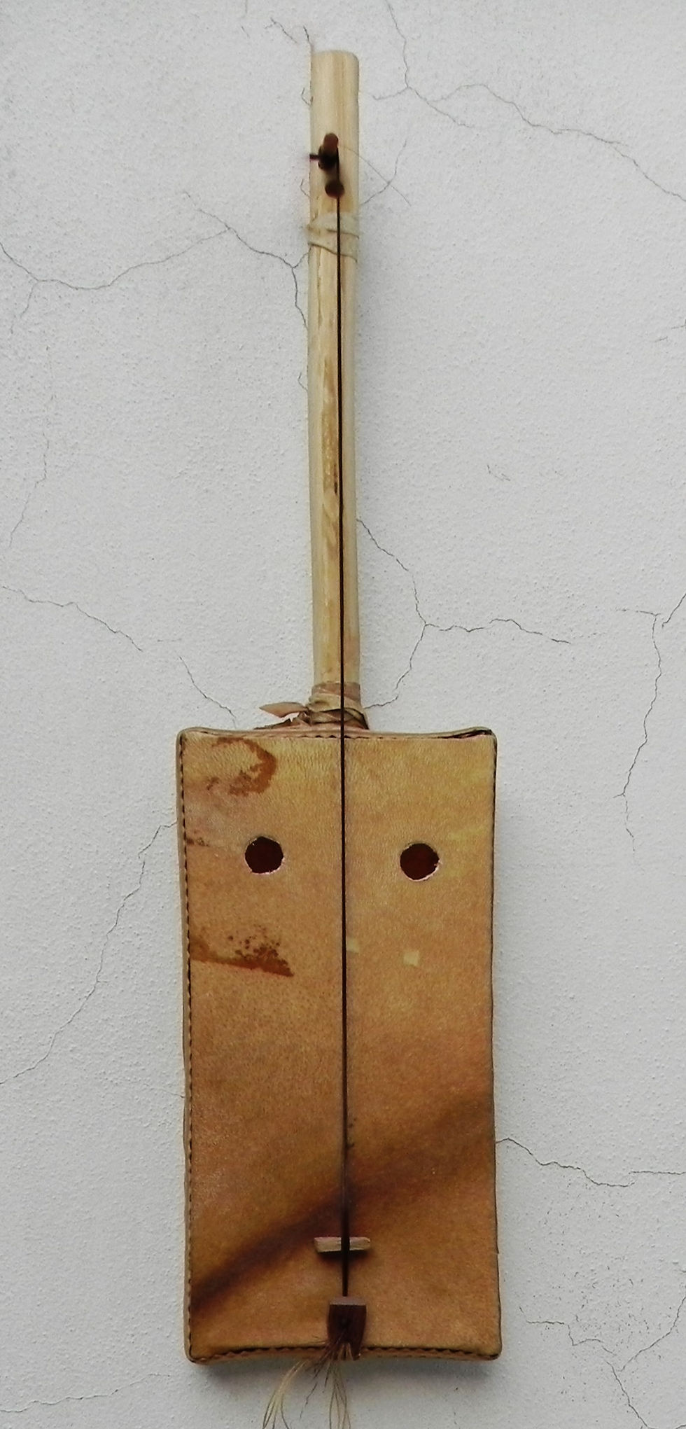 DSCN6225