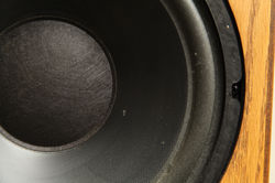 Speaker Cone