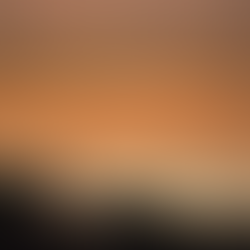 Trouble in the Dry Zone: The Pyusawhti in Myanmar