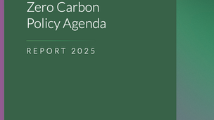 Zero Carbon Policy Agenda 2025: perché i target 2030 sono (già) irraggiungibili — e cosa possiamo fare davvero