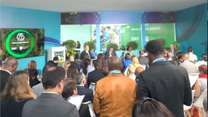 COP29 - World Bank - Lessons in Applied Capitalism for Net Zero targets from Bhutan: Stimulate Carbon Credit Demand, Don’t Just Change Supply Rules