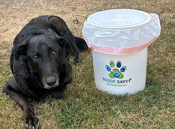 Dillon with Bucket.jpg