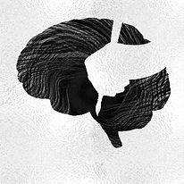 logo brainhand_edited.jpg