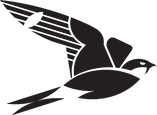 NIGHTHAWK LOGO.png