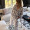 Miniature : Pantalon Anita blanc