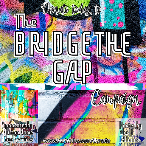 Bridge the Gap Graffiti - Social media post.png