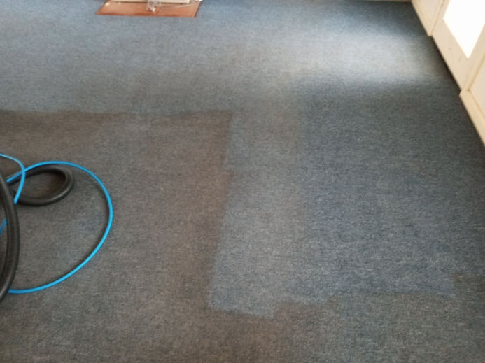 Carpet steam cleaning