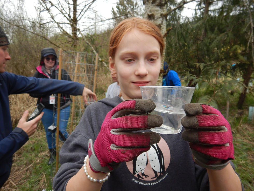 Fish Release