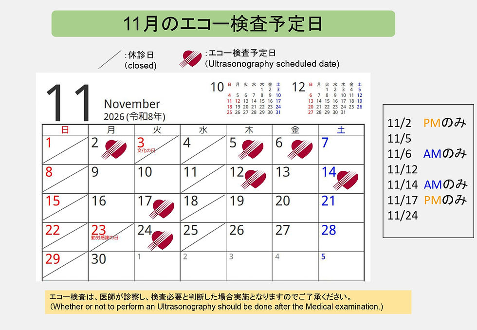 ★１１月エコー検査予定日