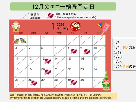 1月エコー検査日程