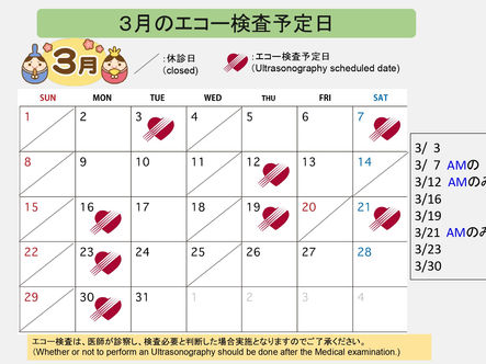 3月エコー検査予定日