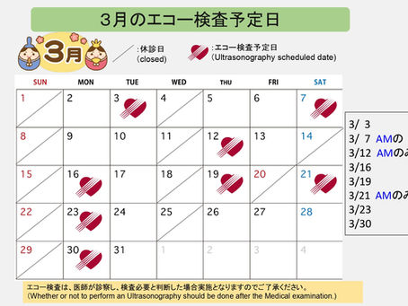 ３月エコー検査予定日