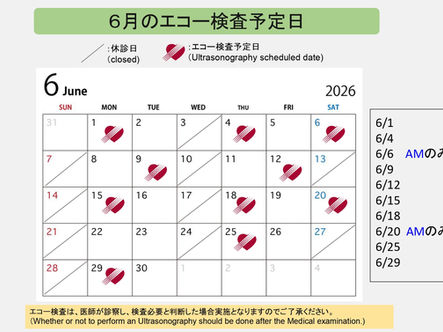 [更新]６月エコー検査予定日