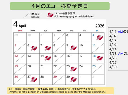 ４月エコー検査予定日