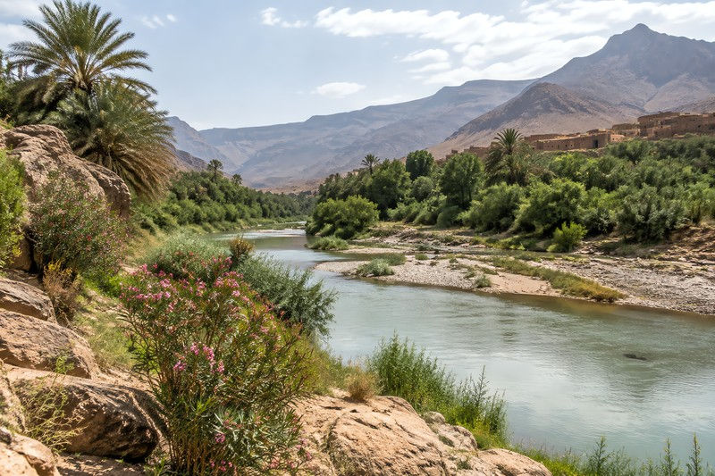 Natural landscapes during seasonal growth or decline, North Africa, during a