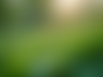 The Importance of Sustainable Living in Today's World