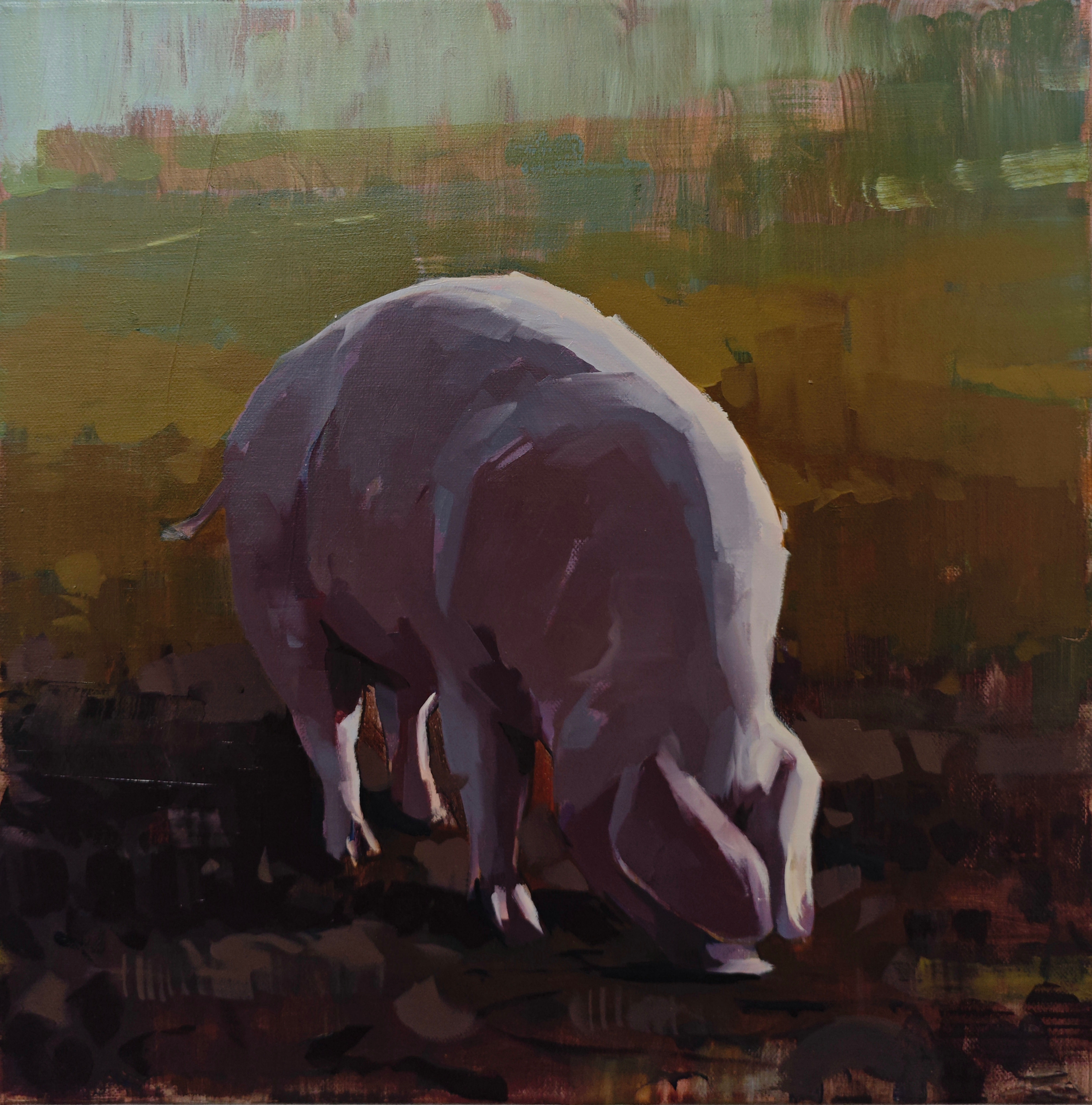 PIG 
