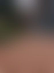 What the Change of Seasons Taught Me About Retirement