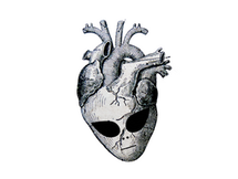 Anomalous Experiences & the Heart