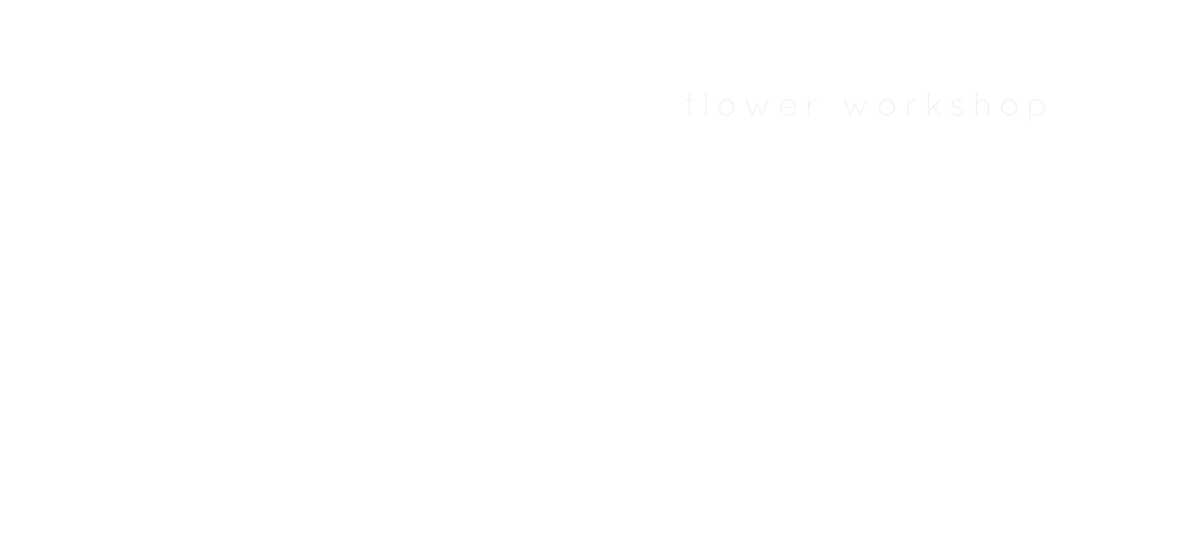 1stlogo.gif