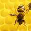 Bees at Work