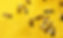 Les abeilles au travail