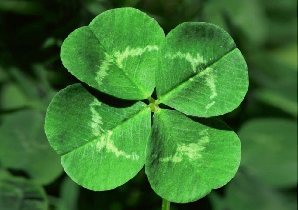 Thumbnail: Girl with Four Leaf Clover (Summer) by Wendt & Kühn of Germany