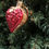 Thumbnail: Inge-Glas Vintage • Bouquet of Roses in a heart