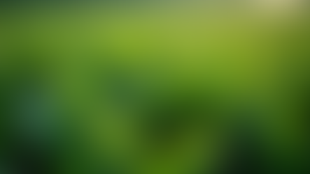 Discover the World of Green Tea: From Ancient Origins to Modern Health Benefits