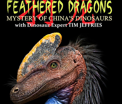 Feathered Dragons poster_edited.jpg
